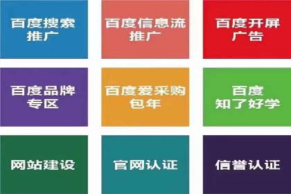 探索SEM推广代运营的奥秘：成功背后的故事
